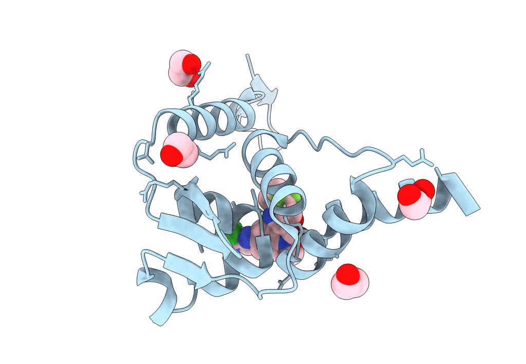 8C78 image