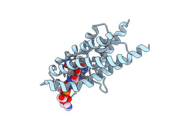 8C7P image