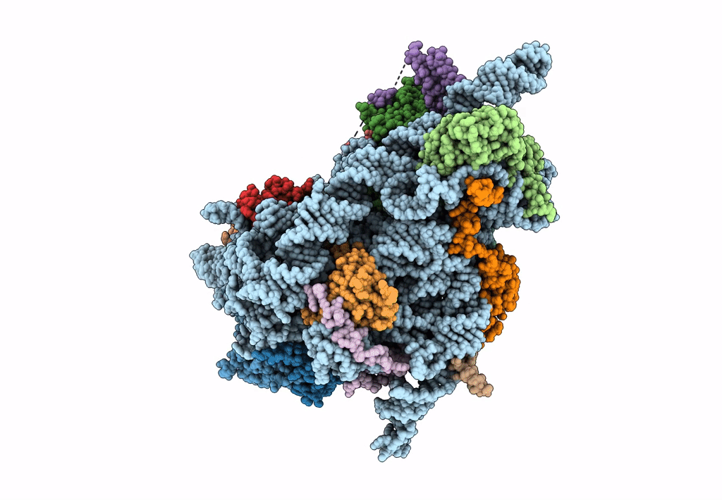 8C83 image