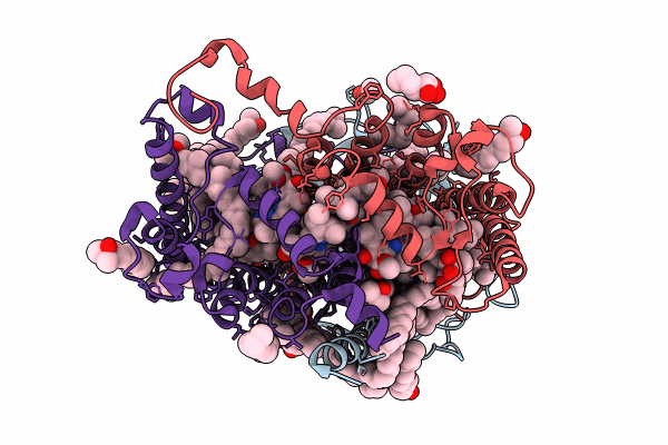 8C87 image
