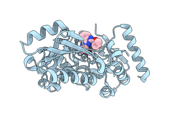 8C8B image