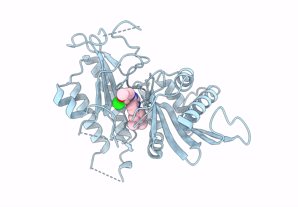 8C8C image