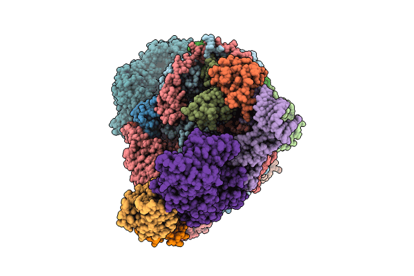 8C8H image