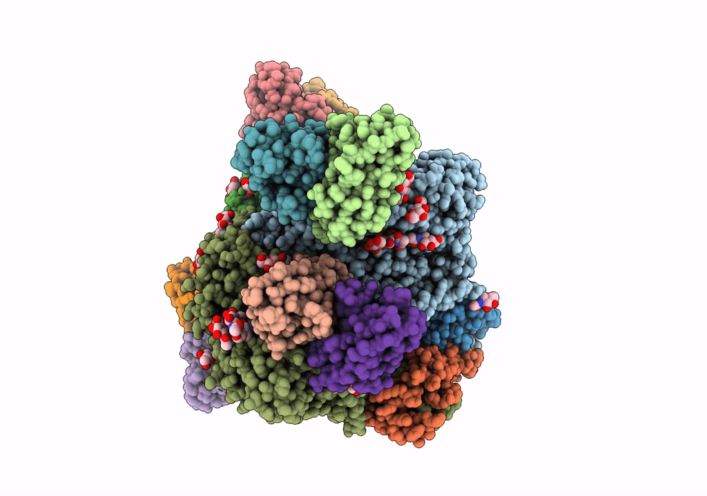 8C8T image