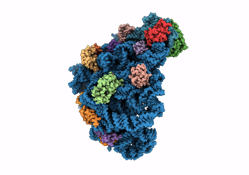 8C90 image