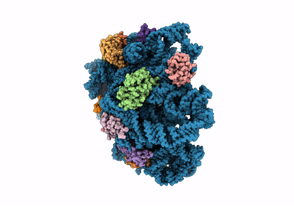 8C92 image