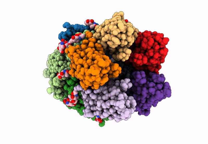 8C9X image