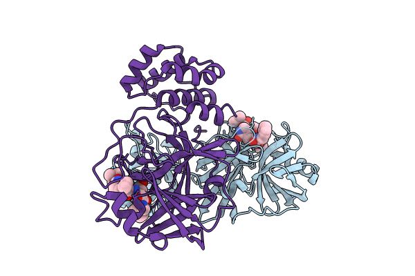 8CAC image