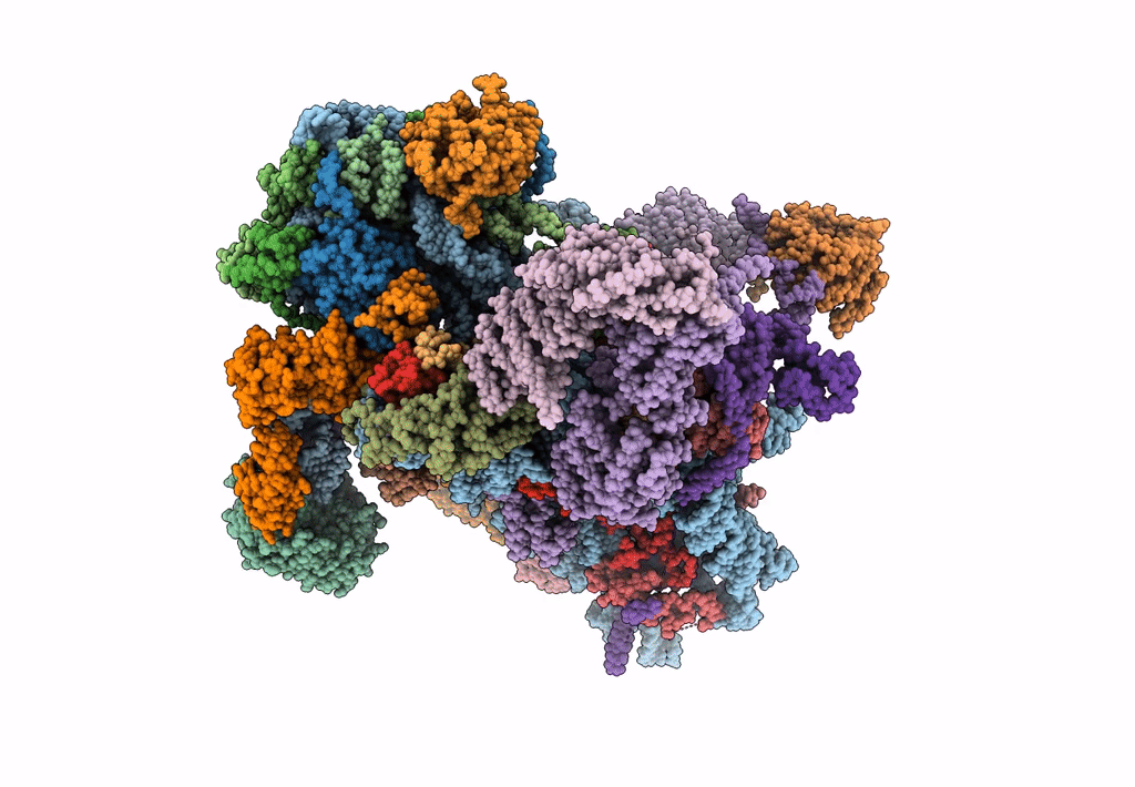 8CAS image