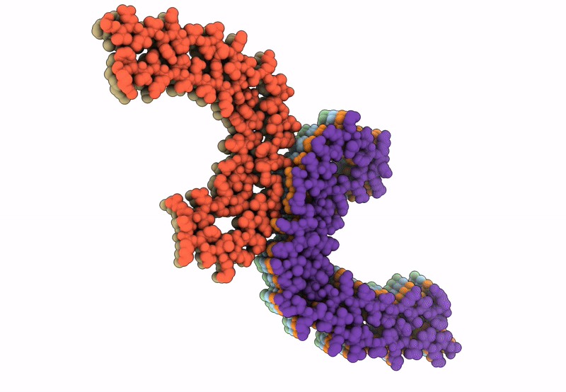 8CAX image