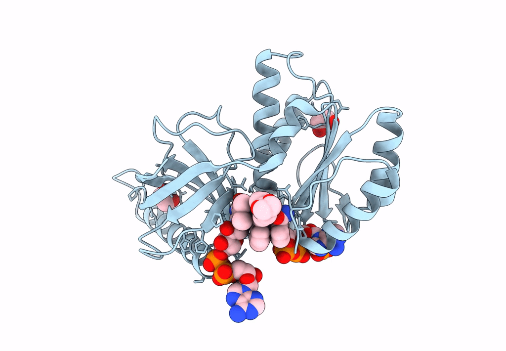 8CB0 image