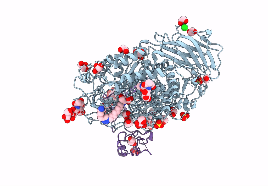 8CB6 image