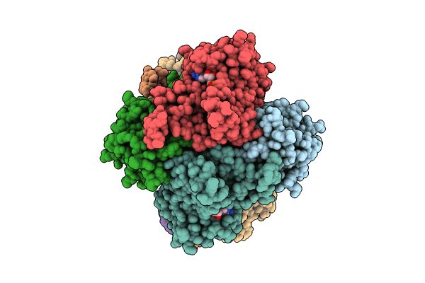 8CBK image