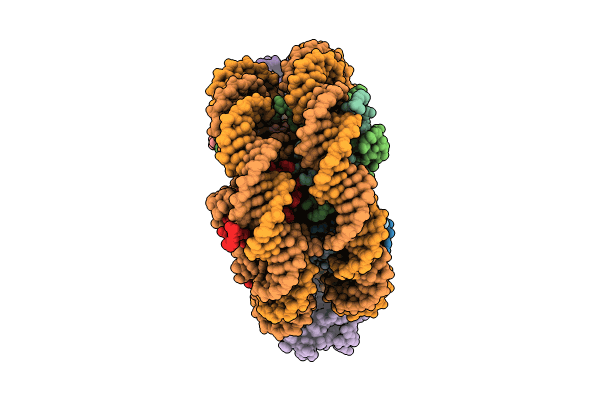 8CBN image