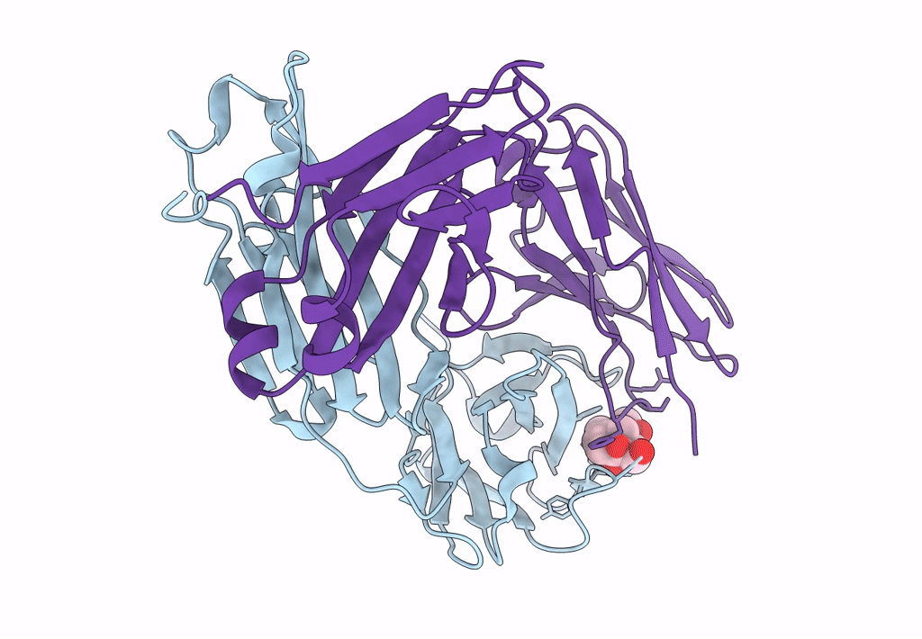 8CC1 image
