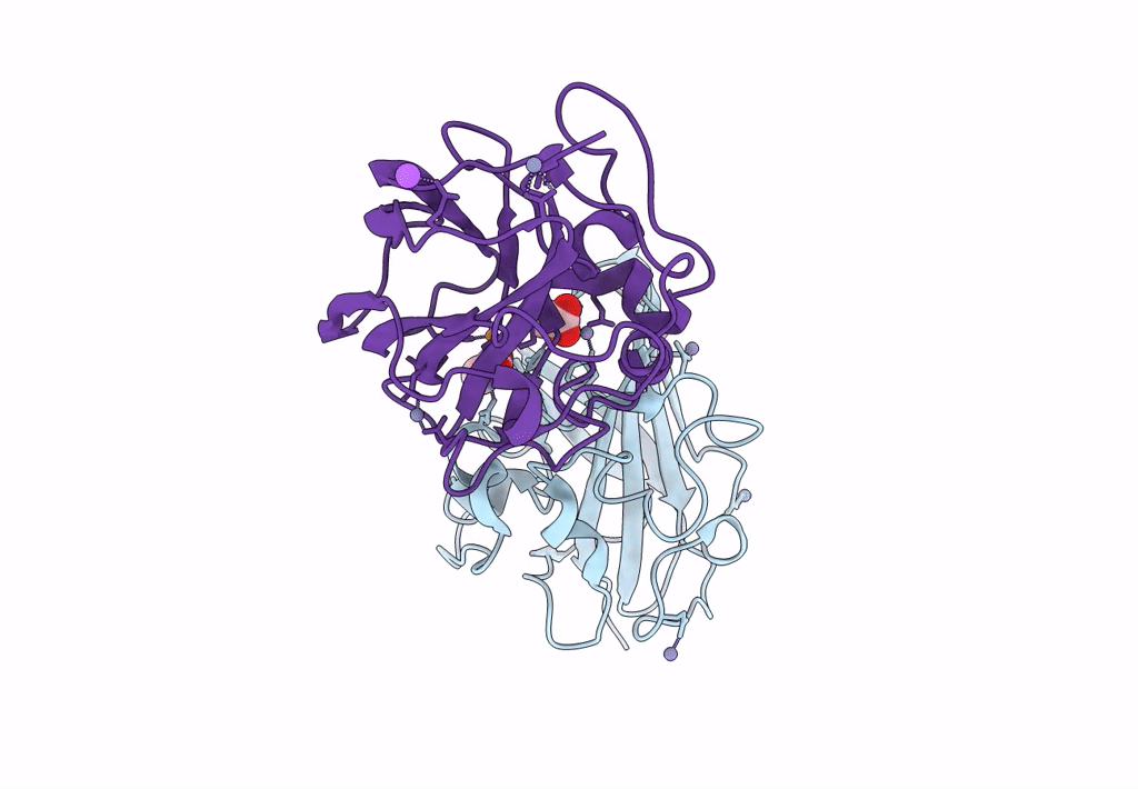 8CC3 image