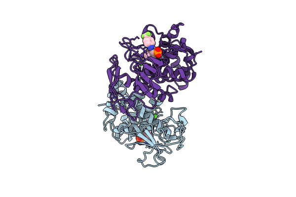 8CC4 image