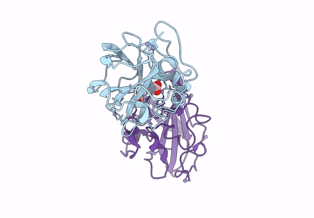 8CC5 image