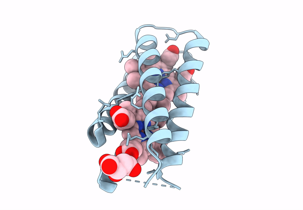 8CCR image