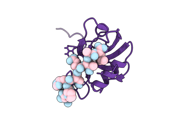8CD3 image