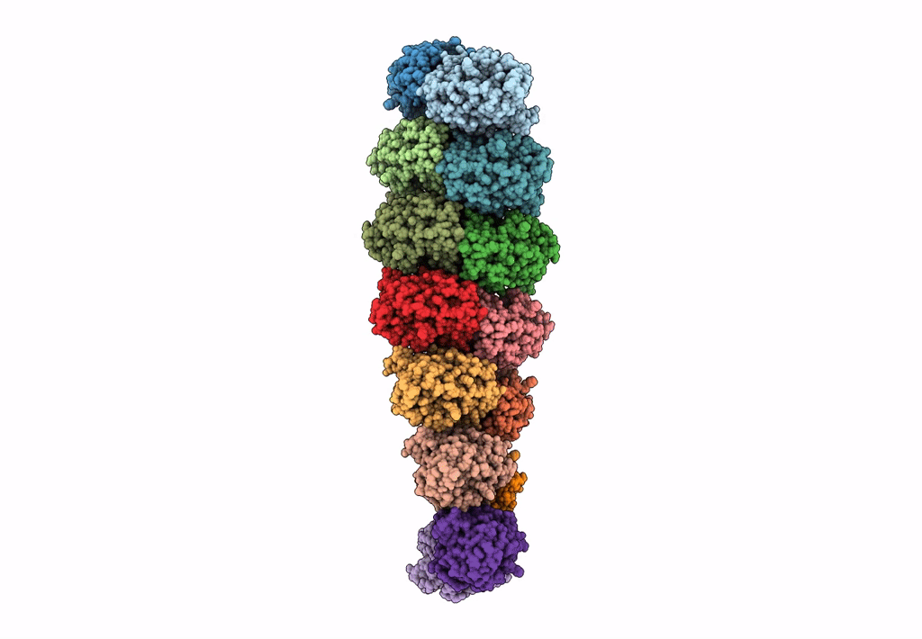 8CDB image