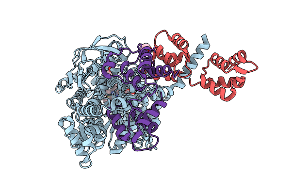 8CDM image