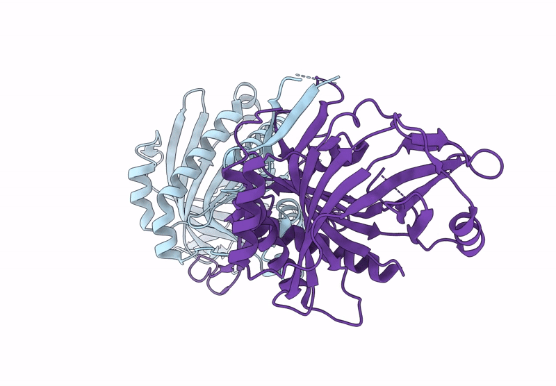 8CDP image