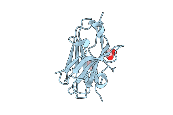 8CDS image