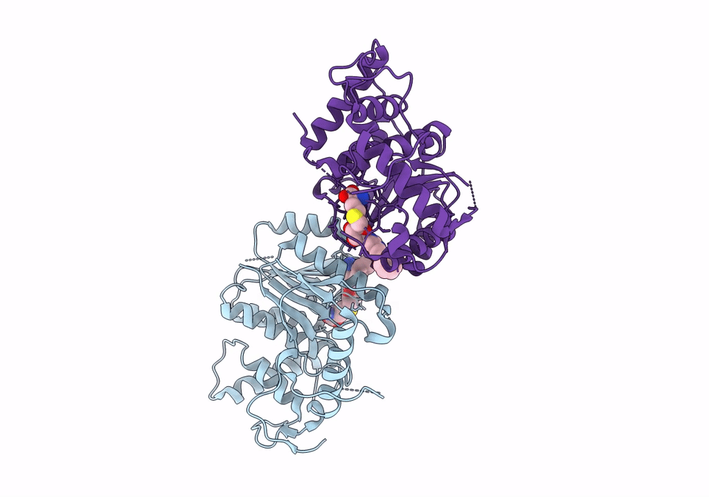 8CEQ image