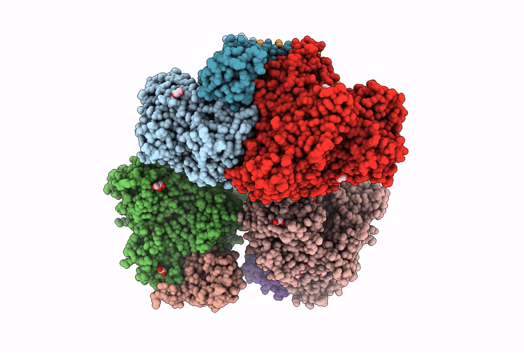 8CFF image