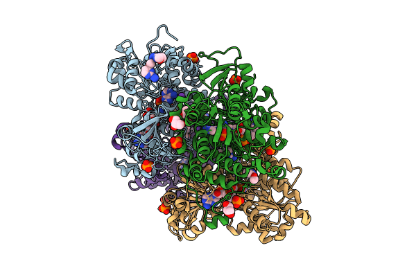 8CFG image