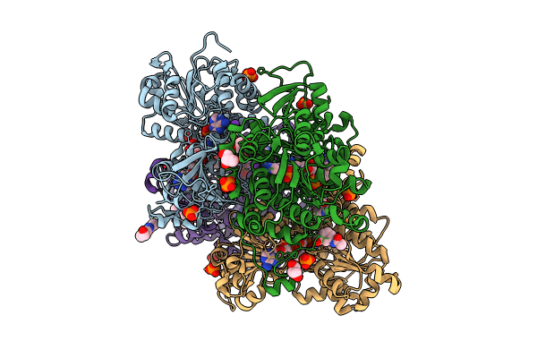 8CFS image