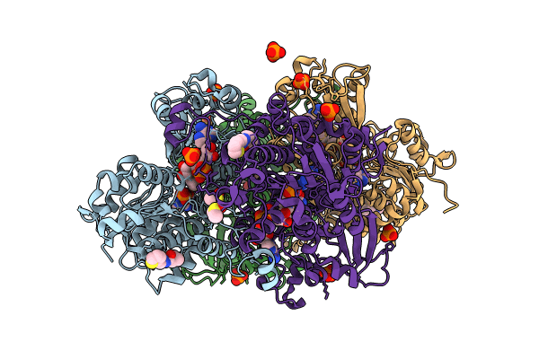 8CFT image