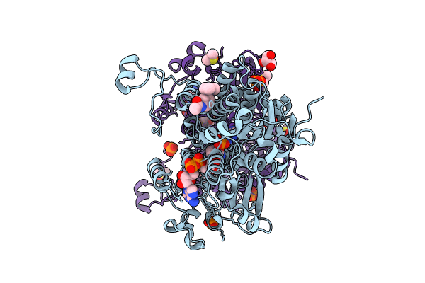 8CG2 image