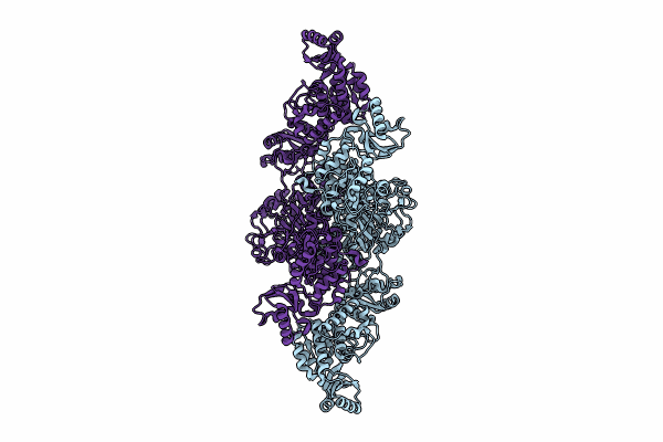 8CG4 image