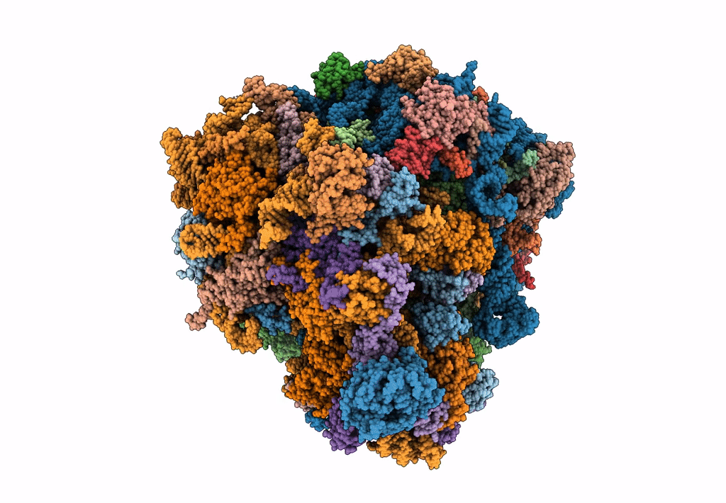8CG8 image