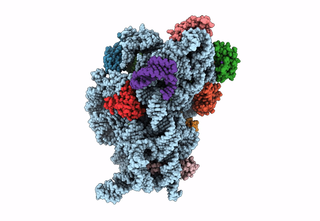 8CGJ image
