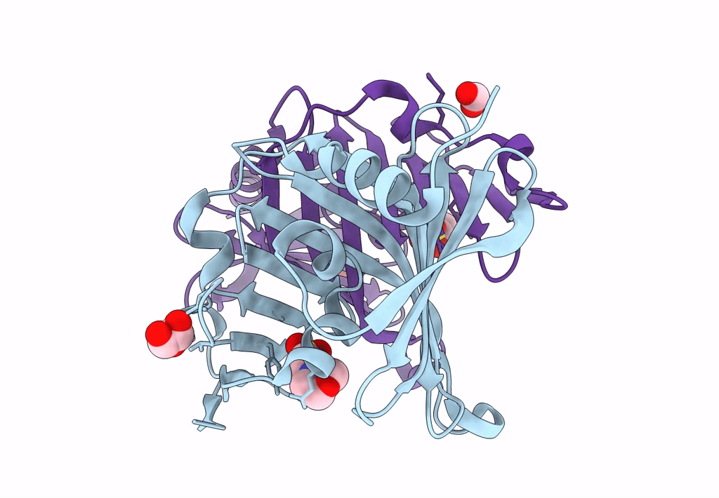 8CGM image