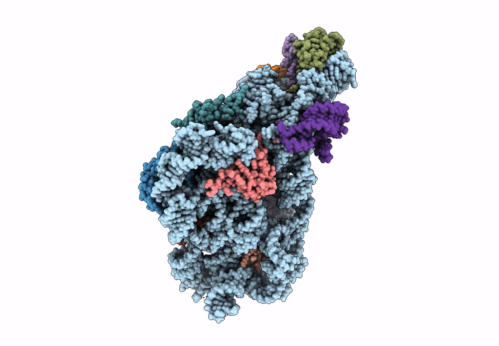 8CGU image