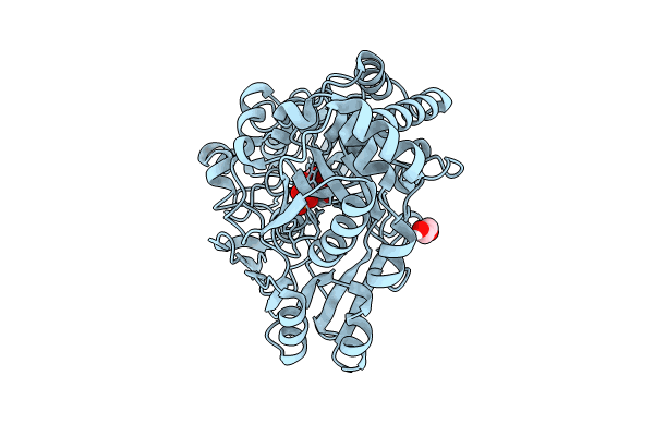 8CH2 image