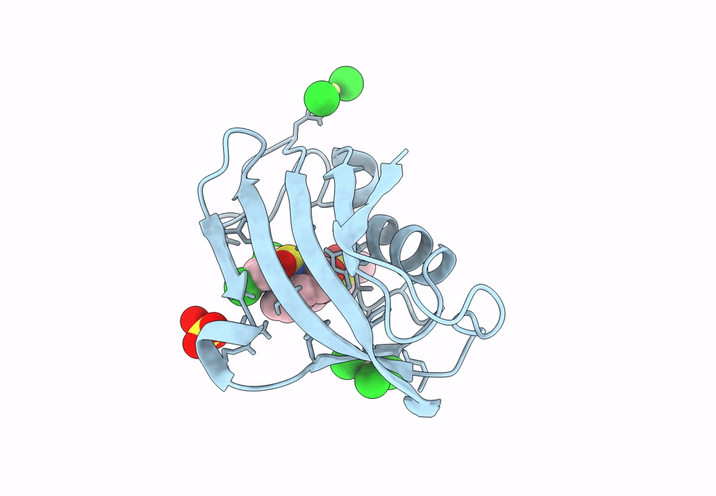 8CHM image