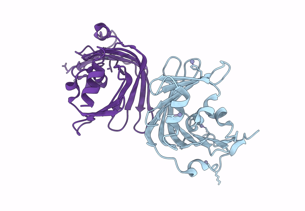 8CHX image