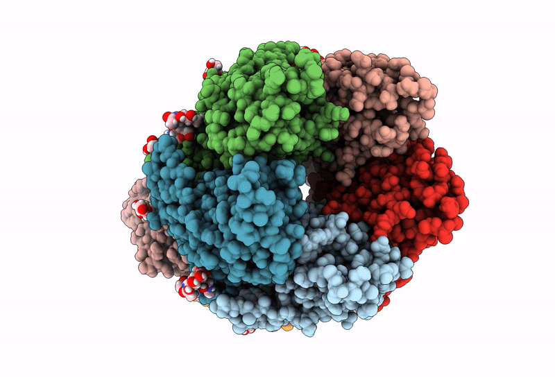 8CI2 image