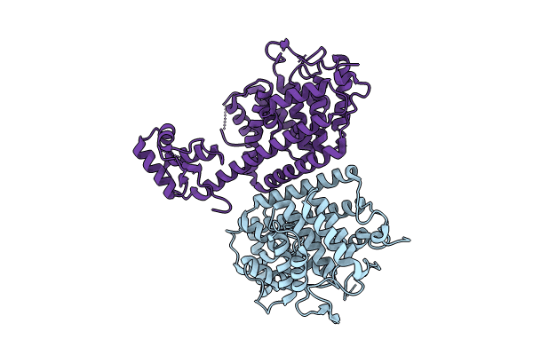 8CIL image