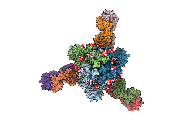 8CIN image