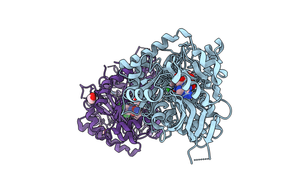 8CJ9 image