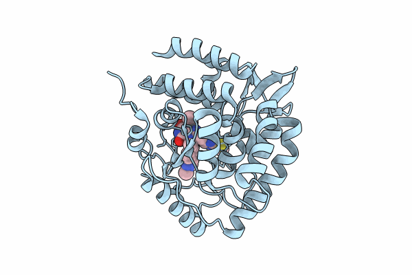 8CJK image
