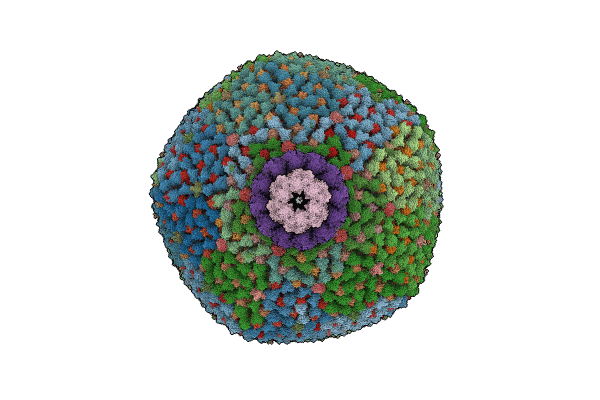 8CKB image