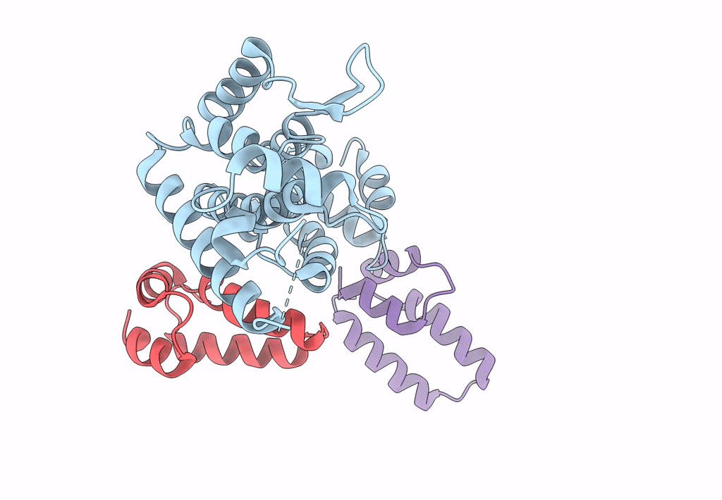 8CL2 image