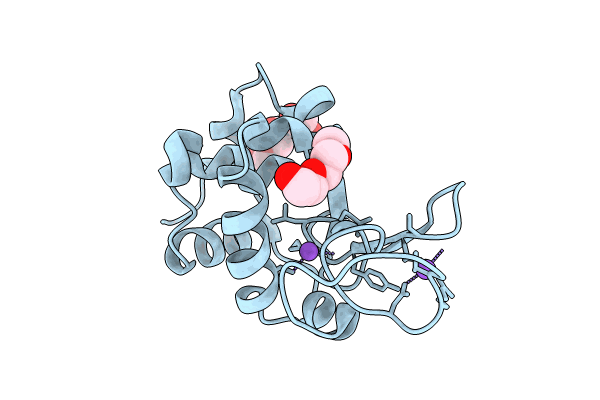 8CL6 image